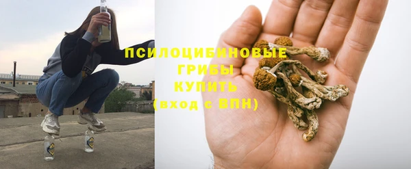 прущий лед Богородск