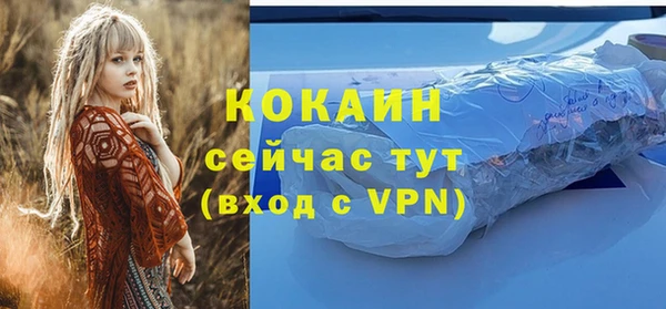 прущий лед Богородск