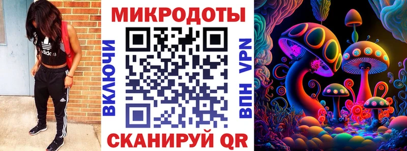 Галлюциногенные грибы Psilocybine cubensis  blacksprut ссылки  Дмитриев 