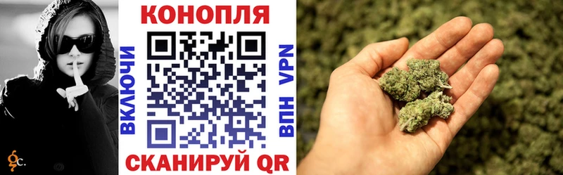 Конопля индика  Дмитриев 